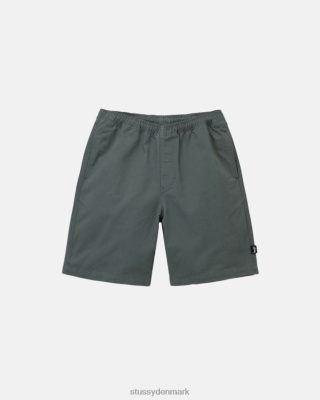 Stussy Denmark | Stussy børstet strand kort salvie unisex 8NV2P279