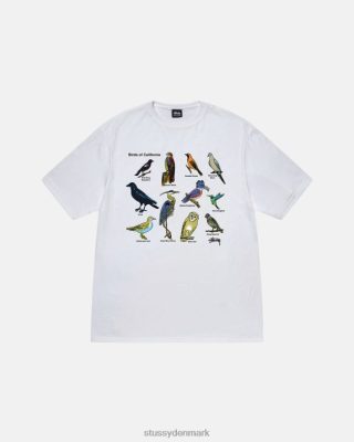 Stussy Denmark | Stussy california birds t-shirt hvid unisex 8NV2P14