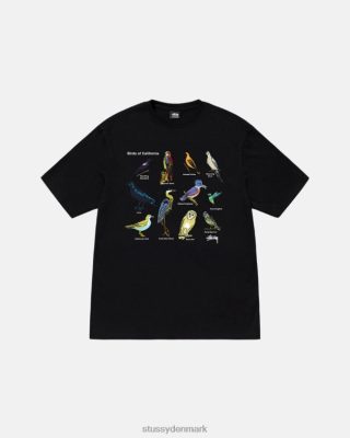 Stussy Denmark | Stussy california birds t-shirt sort unisex 8NV2P13