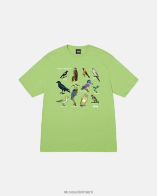 Stussy Denmark | Stussy california birds t-shirt te unisex 8NV2P15