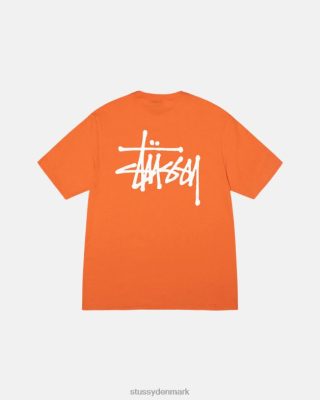 Stussy Denmark | Stussy grundlæggende t-shirt koral unisex 8NV2P4